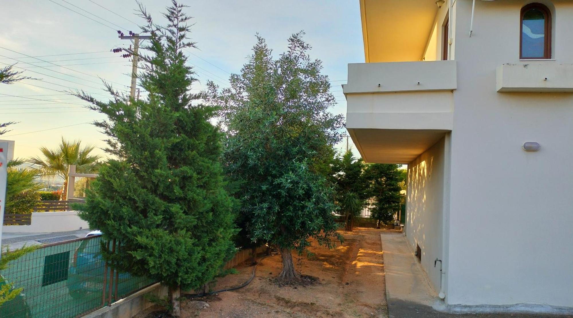 Sunrise House Villa *